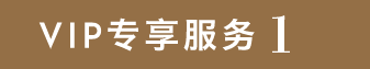 vipdiscount1