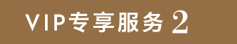 vipdiscount2